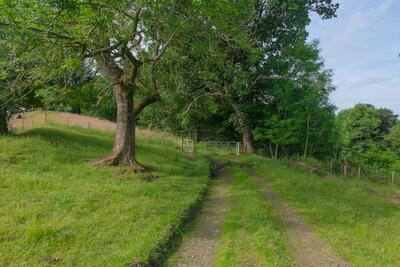 Walk photo