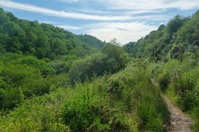 Walk photo