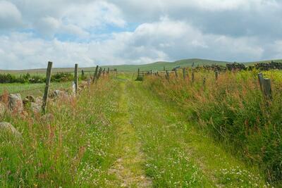 Walk photo