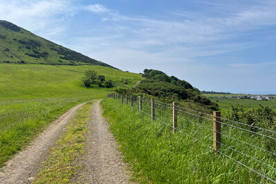 Walk photo