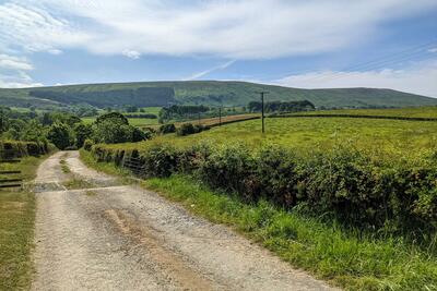 Walk photo