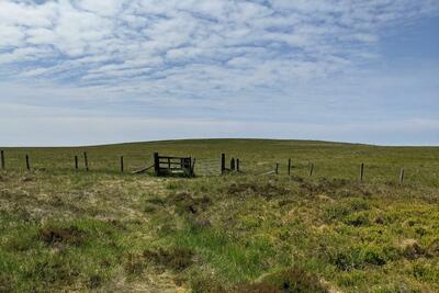 Walk photo