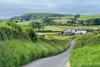 Walk photo