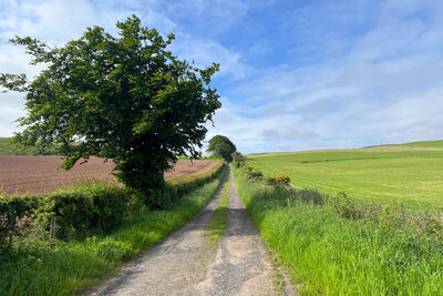 Walk photo