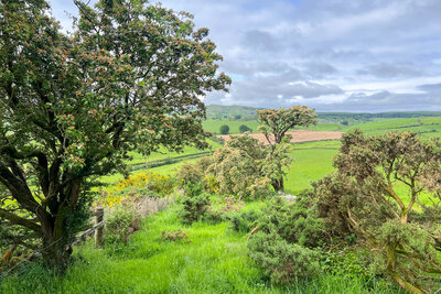 Walk photo