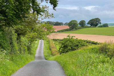 Walk photo