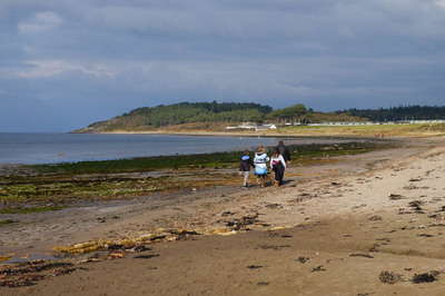 Walk photo