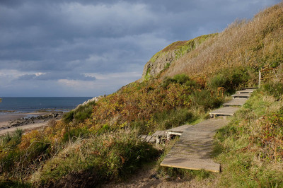 Walk photo