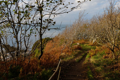 Walk photo