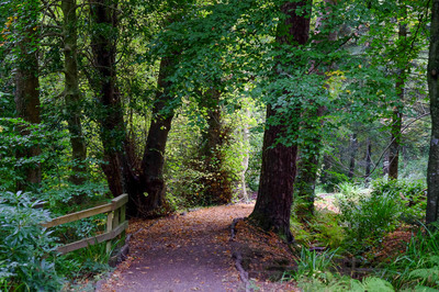 Walk photo
