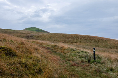 Walk photo