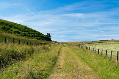 Walk photo