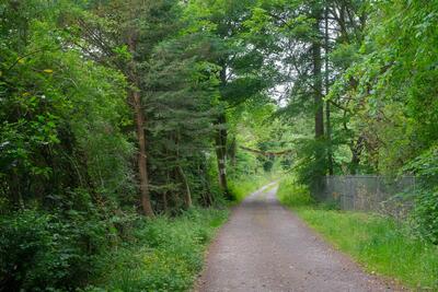 Walk photo