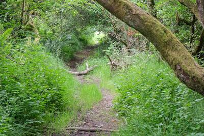 Walk photo