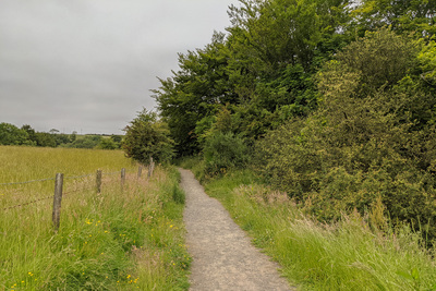 Walk photo