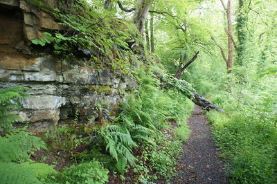Walk photo