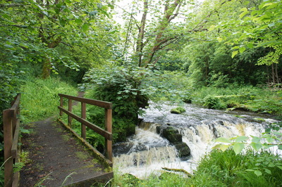 Lynn Glen, near Dalry