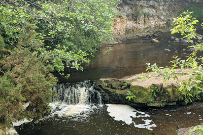 Walk photo