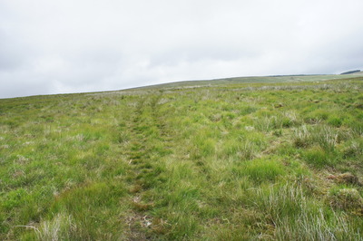 Walk photo