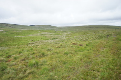Walk photo