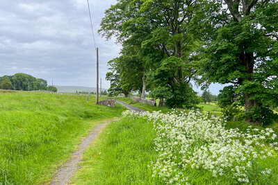 Walk photo