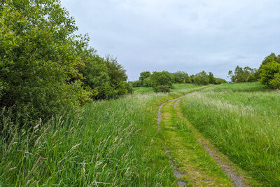 Walk photo