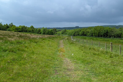 Walk photo