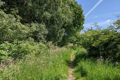 Walk photo