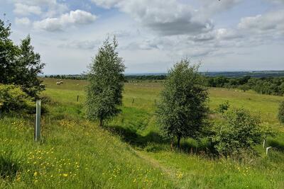 Walk photo