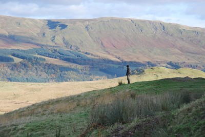 Walk photo