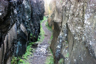 Walk photo