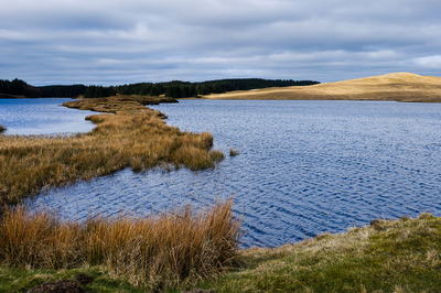 Walk photo