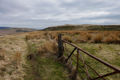 Walk photo