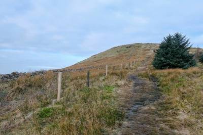 Walk photo
