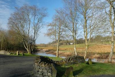 Walk photo