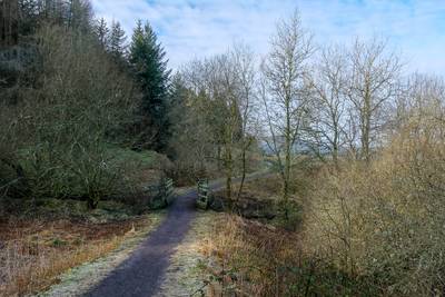 Walk photo