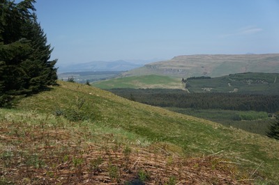 Walk photo