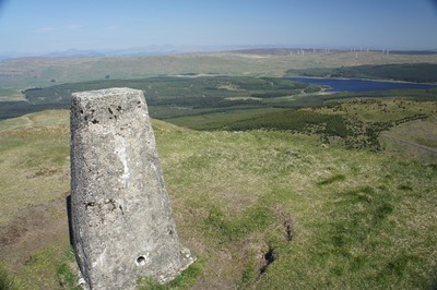 Walk photo
