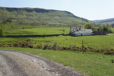 Walk photo