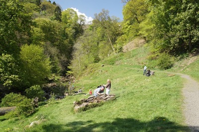 Walk photo