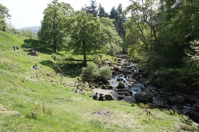 Walk photo