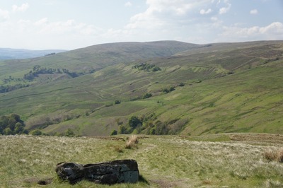 Walk photo