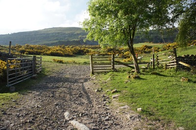 Walk photo