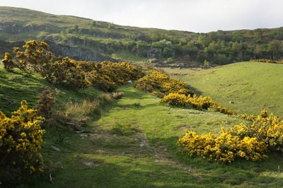 Walk photo