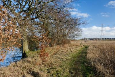 Walk photo