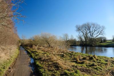 Walk photo