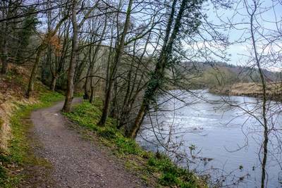 Walk photo