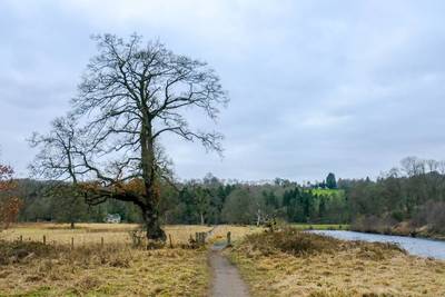 Walk photo