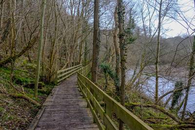 Walk photo