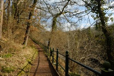 Walk photo